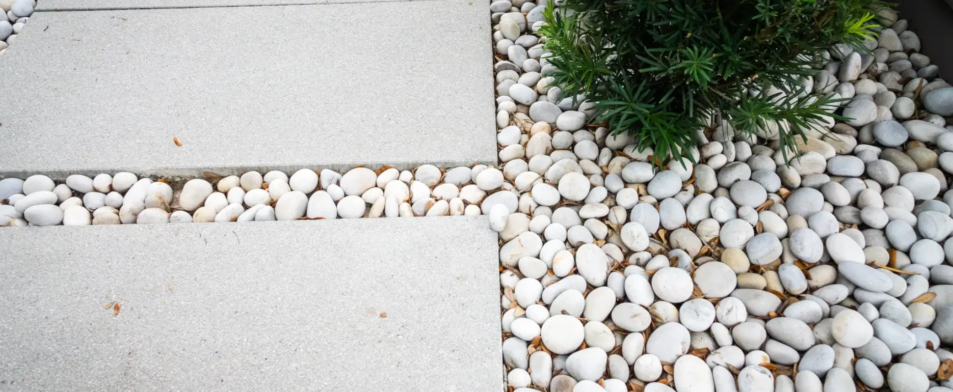 Luxury landscape design featuring concrete walkway bordered by smooth white river rocks and green shrubs, exemplifying sophisticated residential hardscaping in St Petersburg FL.