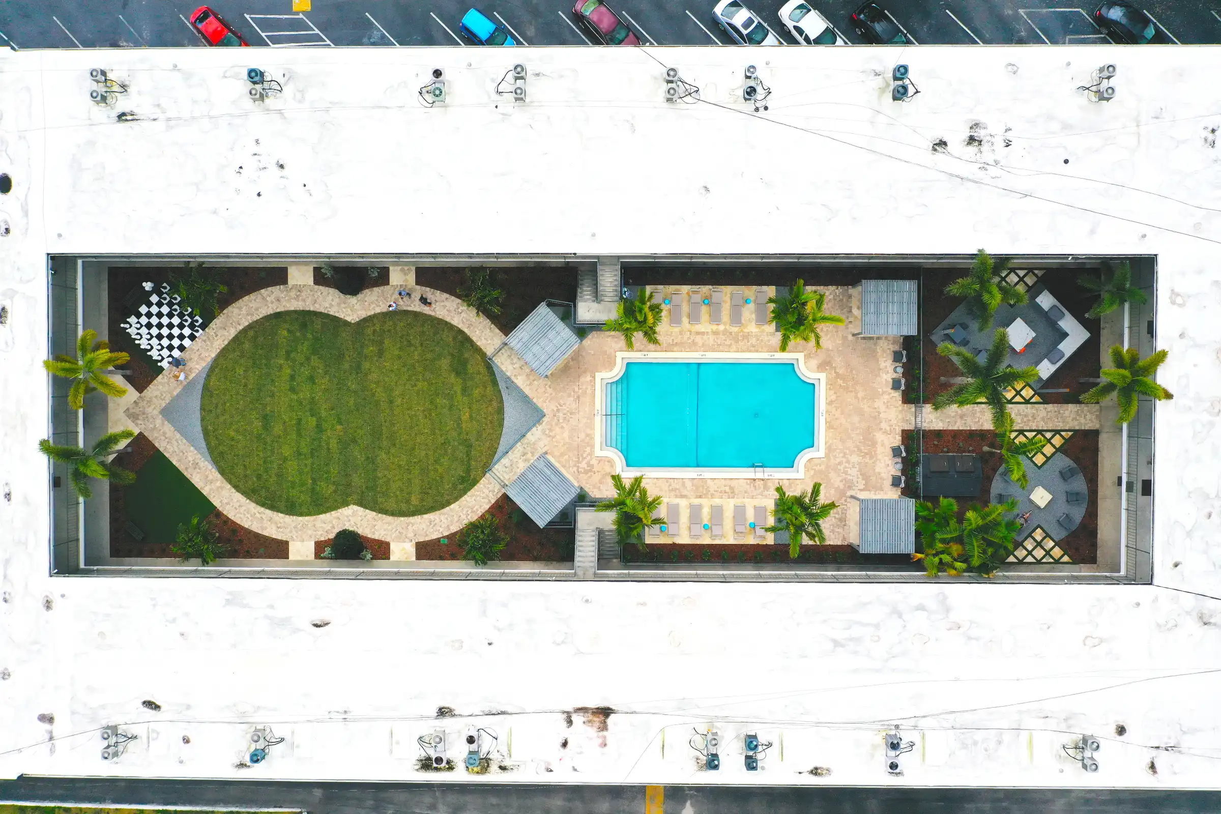 Aerial view of luxury pool surrounded by curved lawn, stone patio, and palm trees in St Petersburg residential community