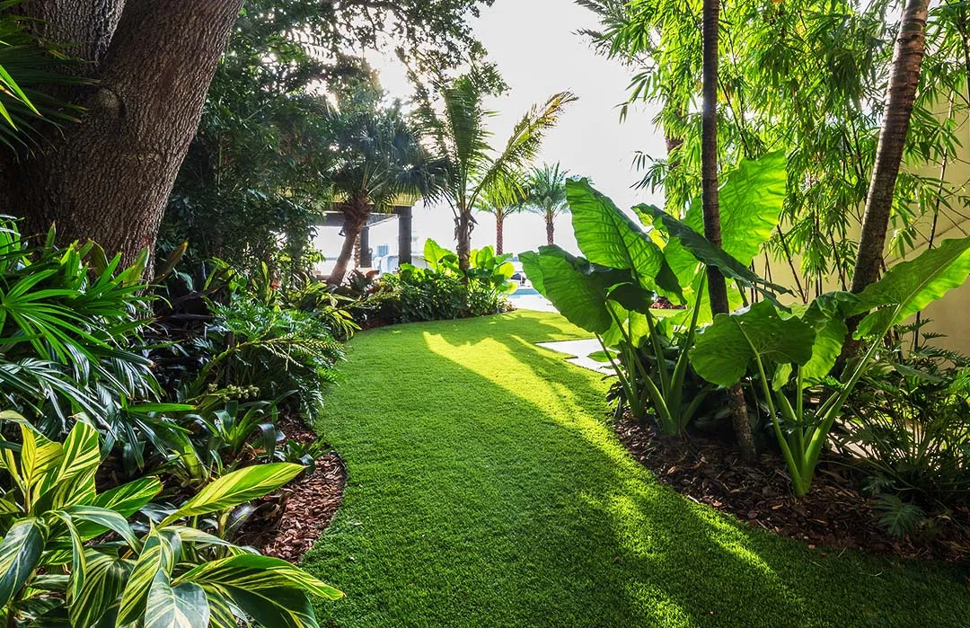 Lush tropical landscape with manicured lawn bordered by palm trees and dense vegetation in St Petersburg, FL residential community.