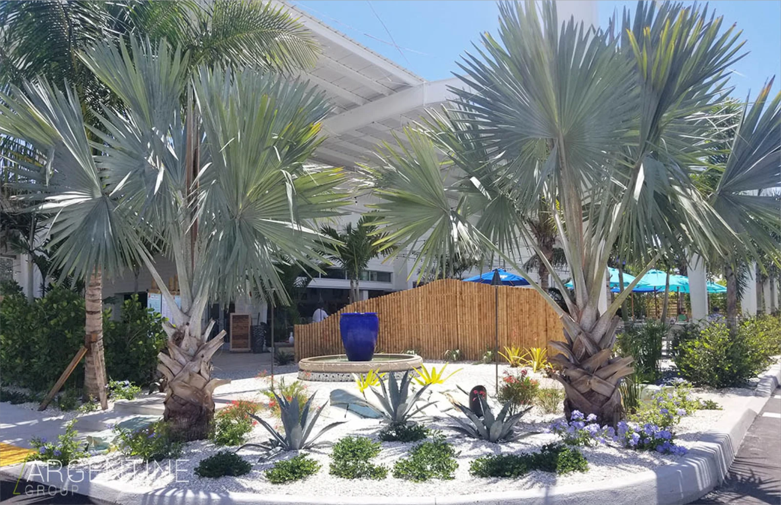 Luxury courtyard featuring twin fan palms framing a blue ceramic vessel, white sand landscaping with agave plants, and wooden privacy fence in St Petersburg residential community.