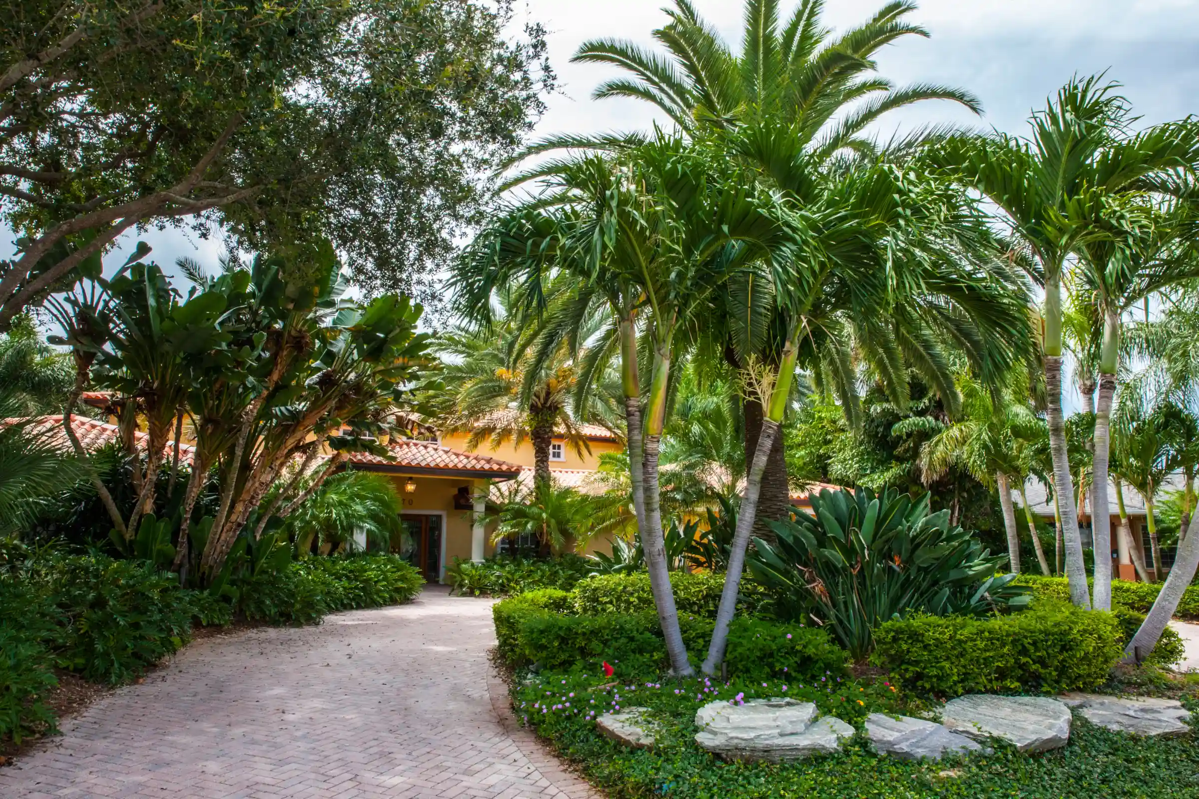 Brick pathway lined with tall palm trees and lush greenery leading to a yellow stucco home with terracotta roof tiles, exemplifying luxury landscape architecture in St Petersburg, FL.