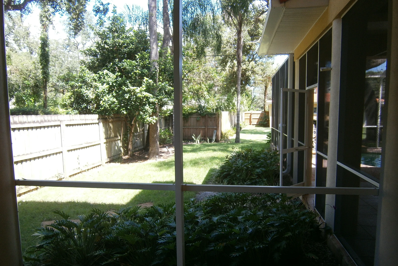 Screened porch overlooking fenced backyard with mature oak trees and manicured lawn in St Petersburg residential community.
