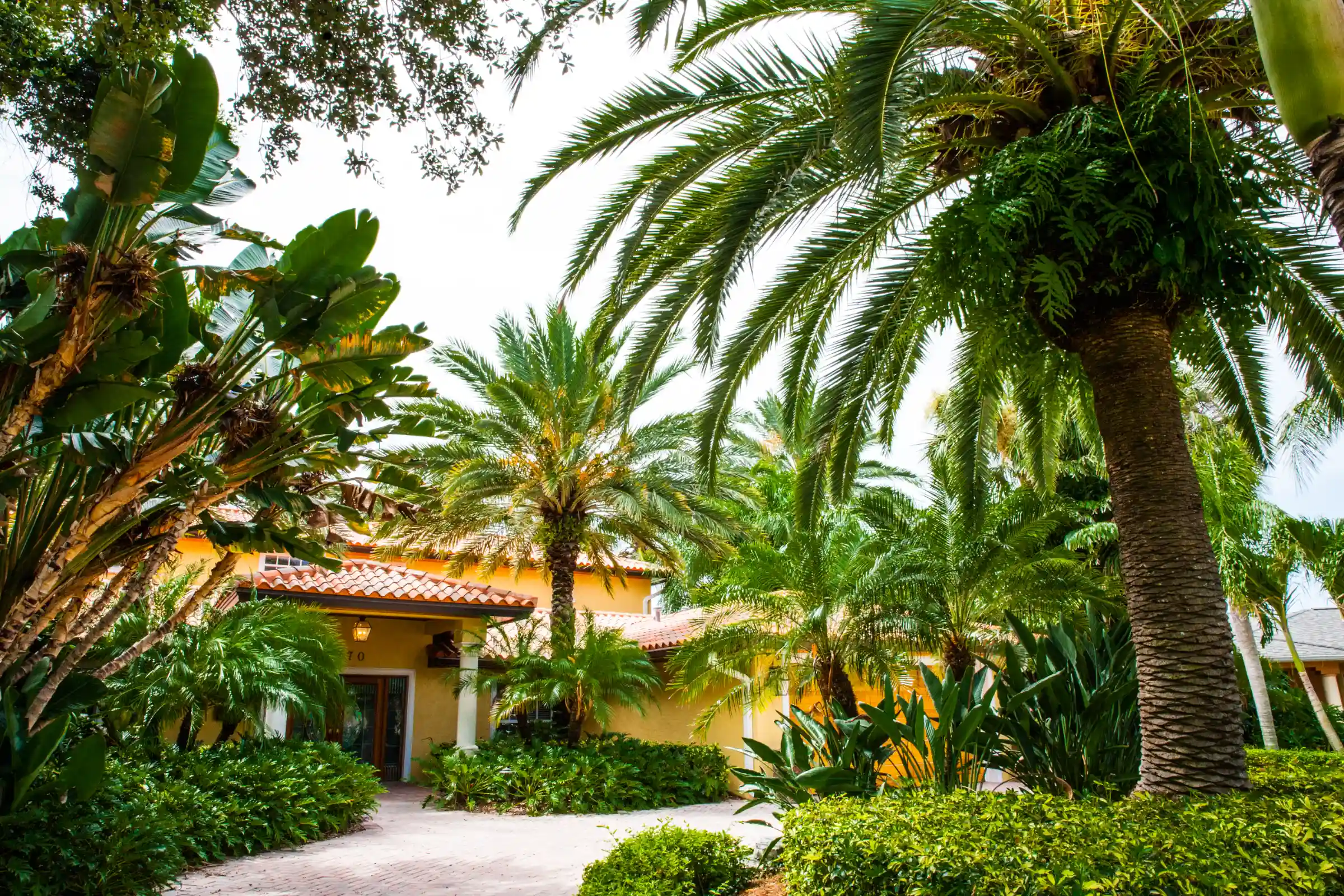 Vibrant yellow Spanish colonial residence surrounded by lush palm trees and tropical landscaping in St Petersburg, FL luxury residential community.