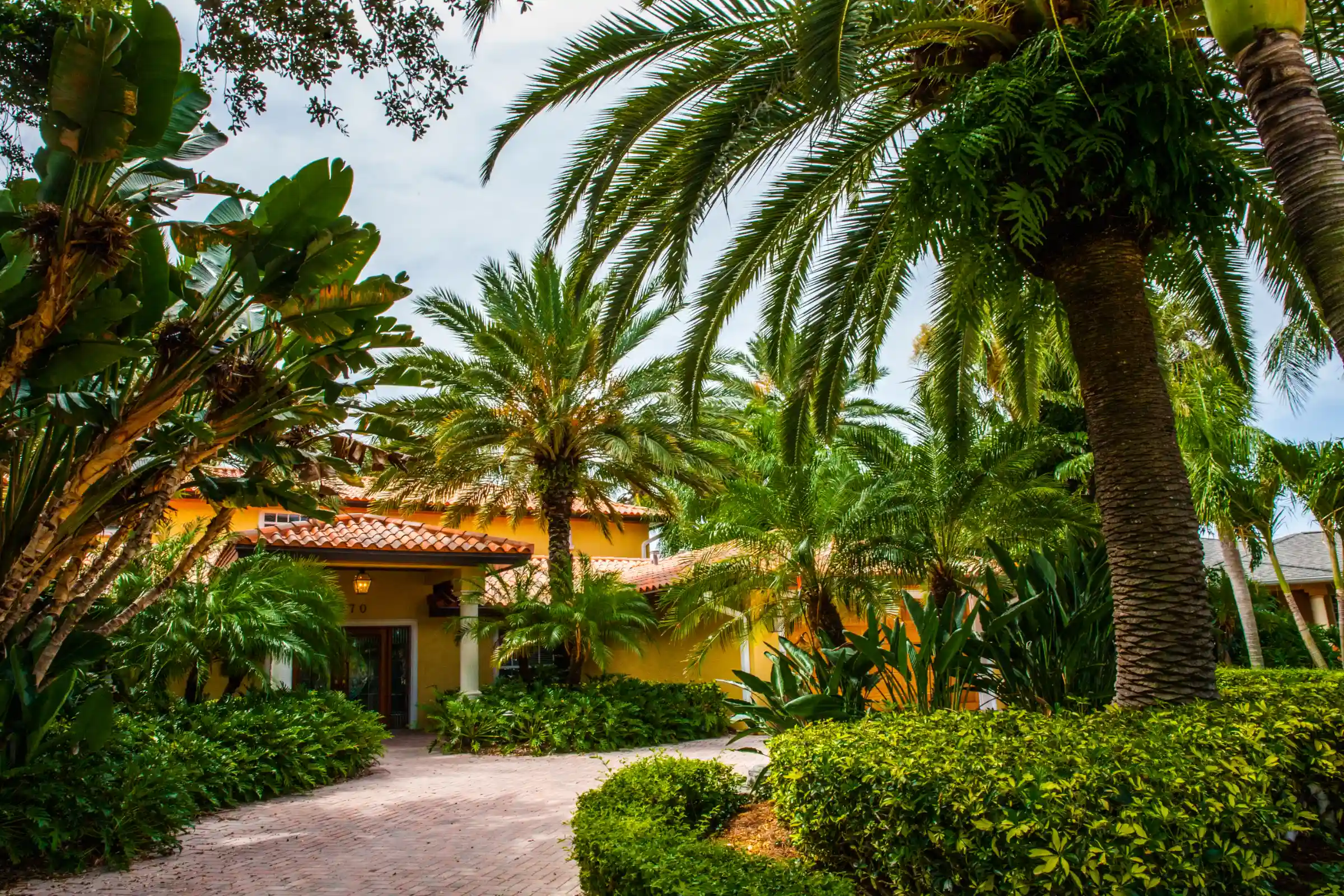 Luxury yellow stucco residence with terra cotta roof surrounded by mature palm trees and lush landscaping in a St Petersburg FL residential community.