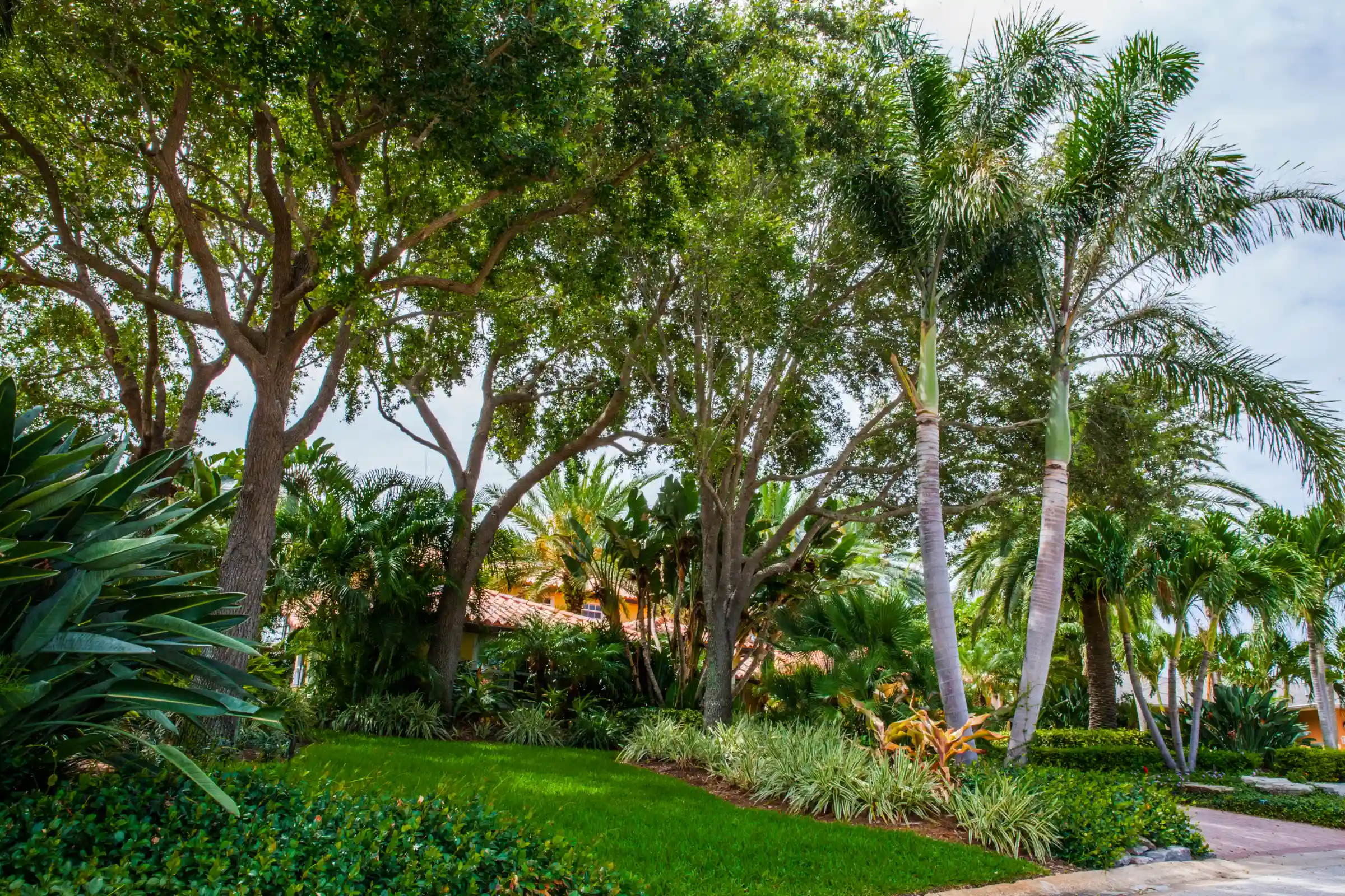 Lush tropical landscape featuring mature shade trees, palm trees, manicured lawn, and sophisticated plant arrangement in luxury residential community in St. Petersburg, Florida.