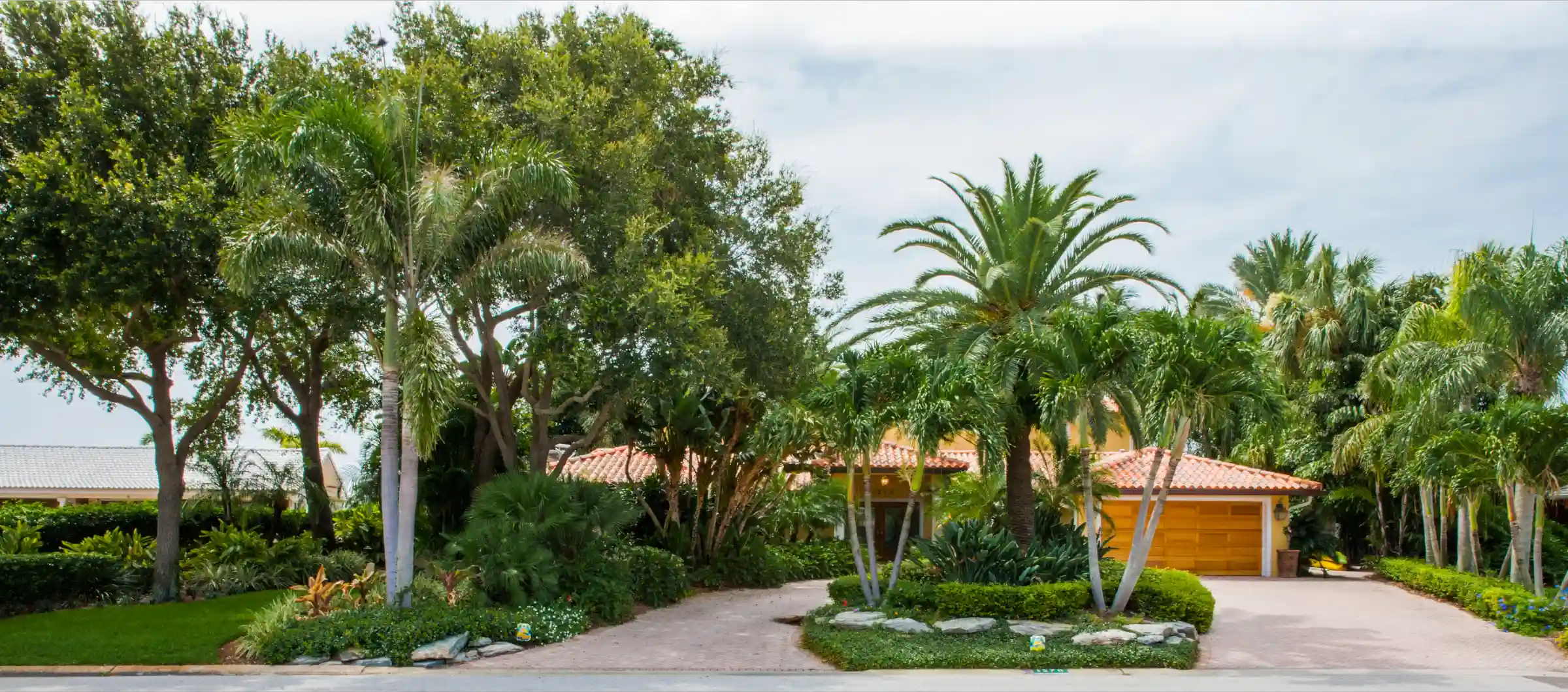 Luxury residential home with yellow stucco exterior, terracotta tile roof, surrounded by mature palms and lush landscaping in St Petersburg, FL