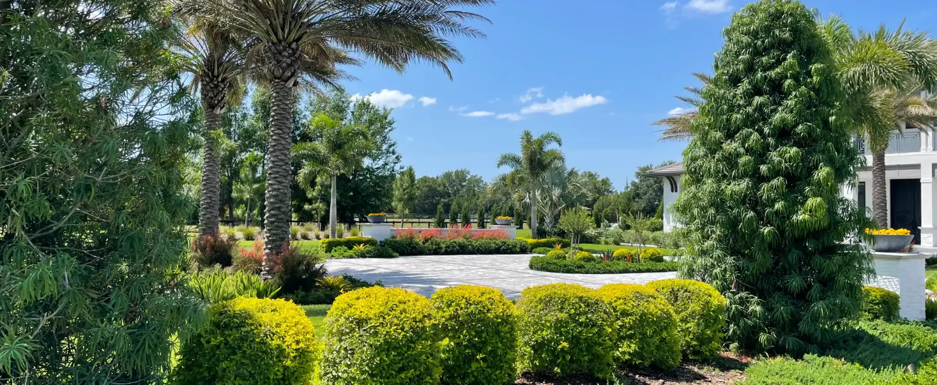 Luxury residential community courtyard featuring sculpted boxwood hedges, towering palms, and paved plaza with water feature in St Petersburg, FL landscape design.