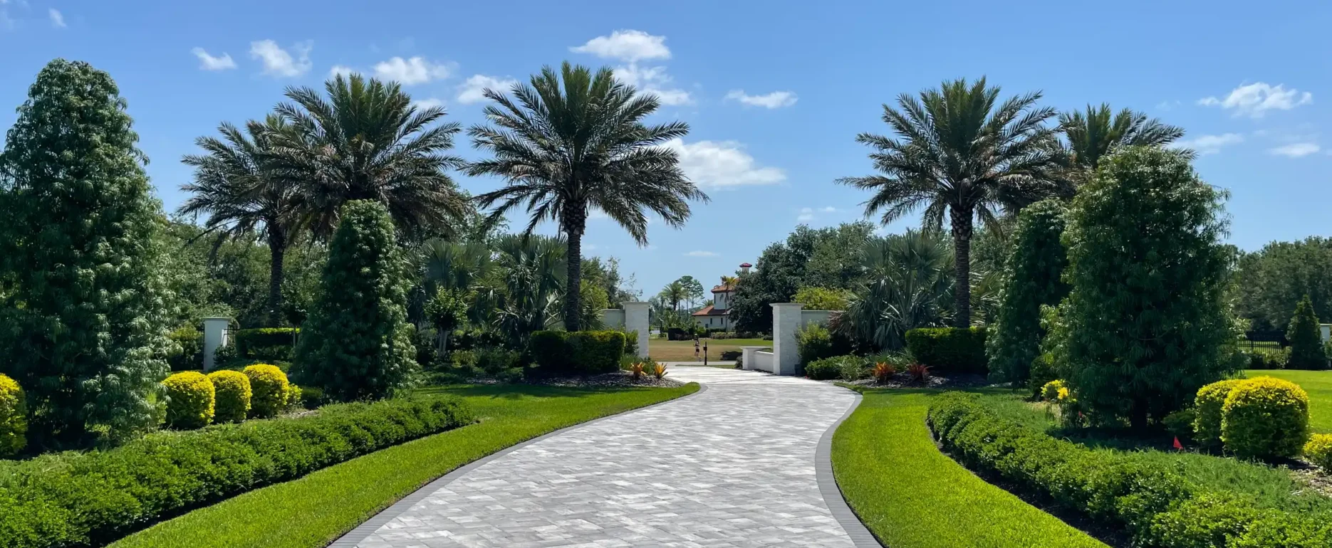 Elegant curved paver driveway lined with tall palm trees and manicured hedges leading to white gate entrance in luxury residential community.
