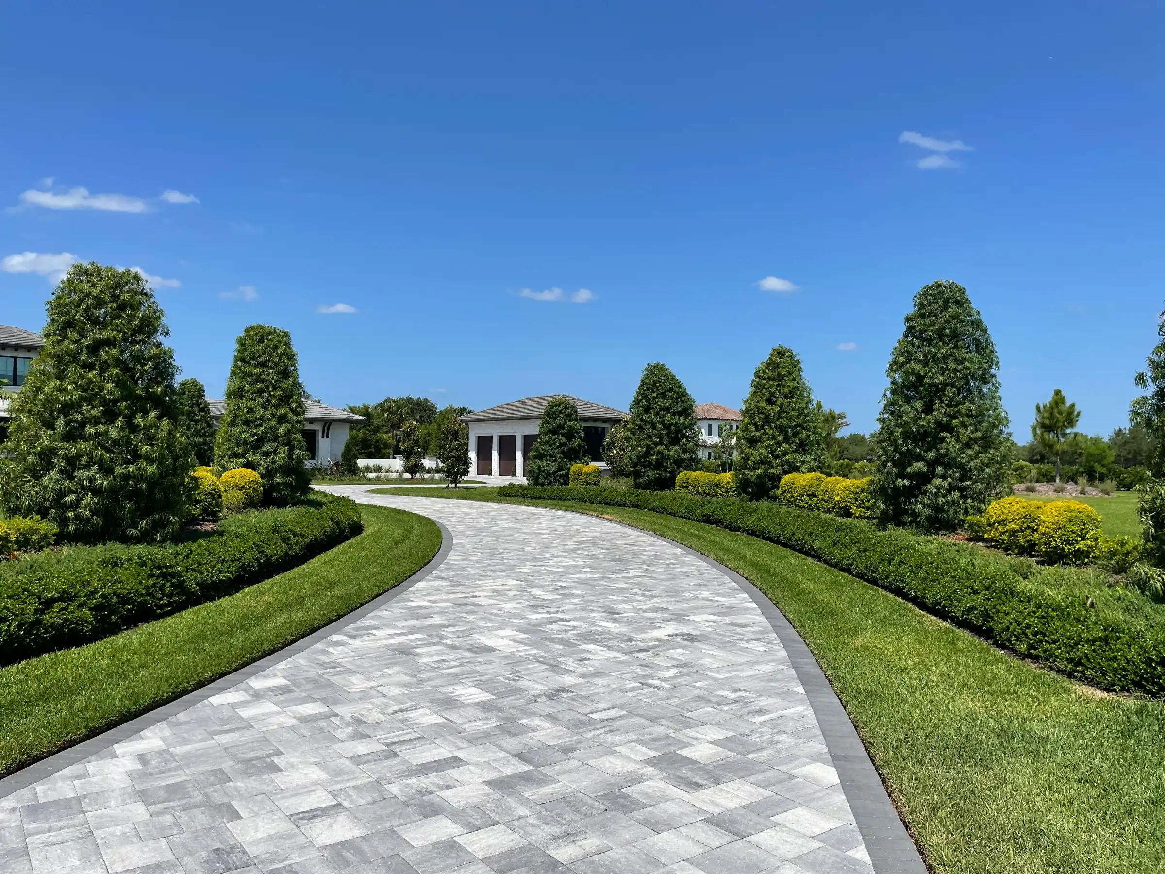 Elegant curved stone paver driveway lined with tall columnar trees and manicured hedges leading to a modern home in St Petersburg, FL luxury residential community.