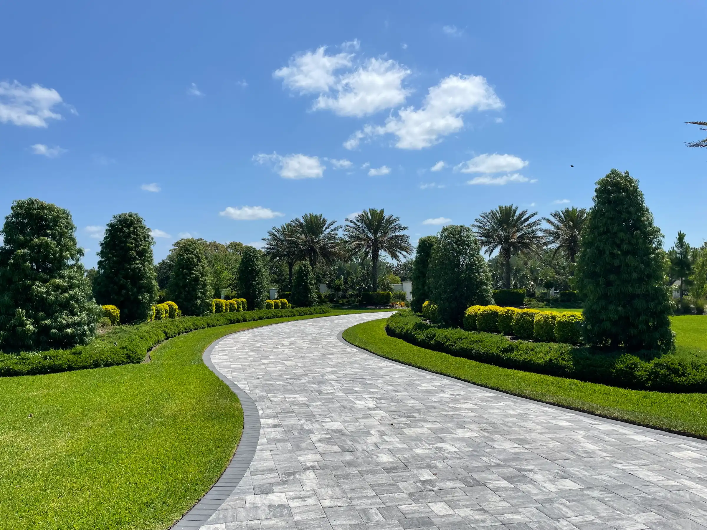 Elegant curved paver driveway bordered by lush green lawn and manicured hedges, with palm trees and mature landscaping in luxury St Petersburg residential community.