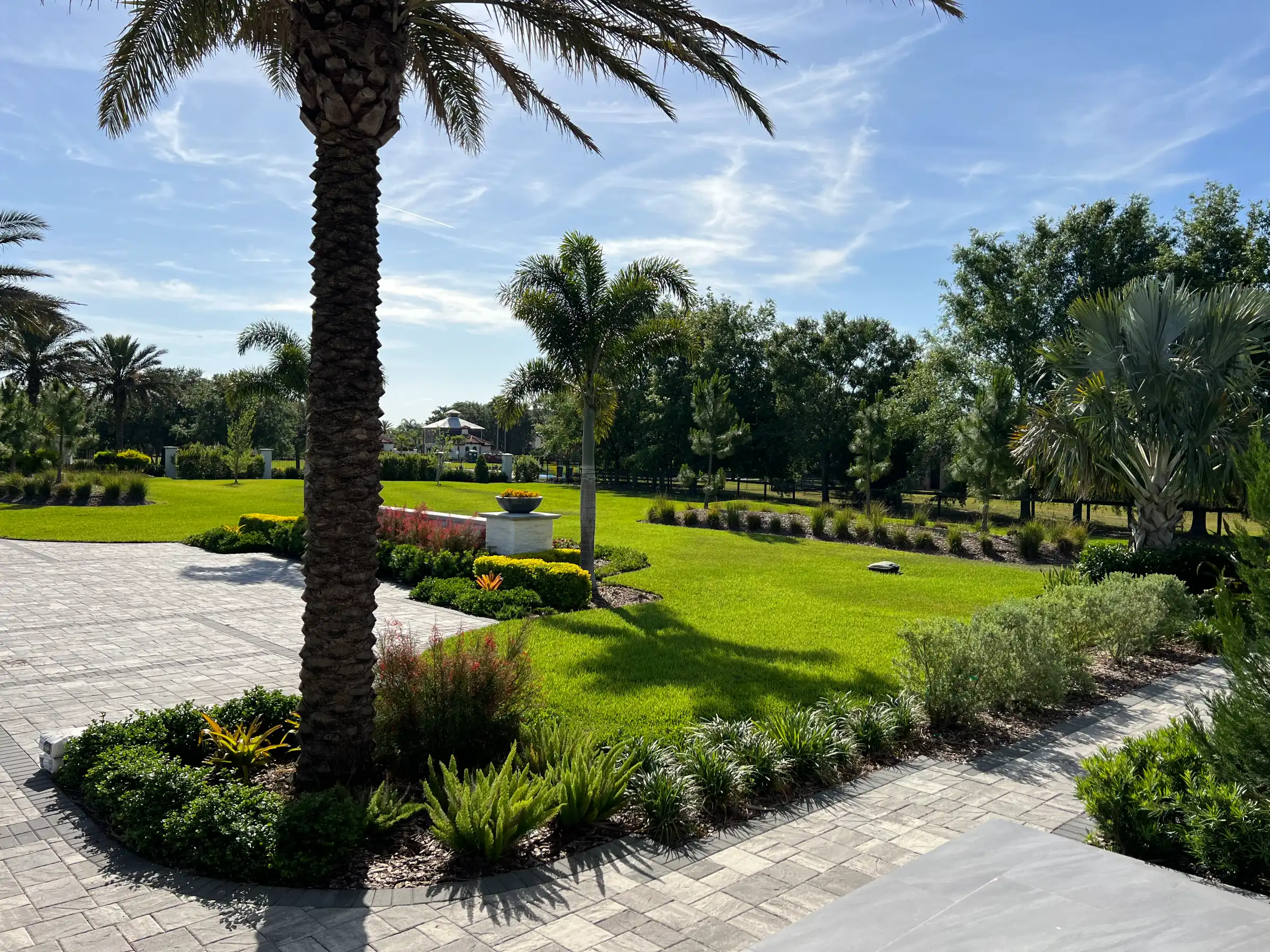 Expansive residential landscape featuring manicured lawn, mature palm trees, and paver walkway in St Petersburg, FL community.