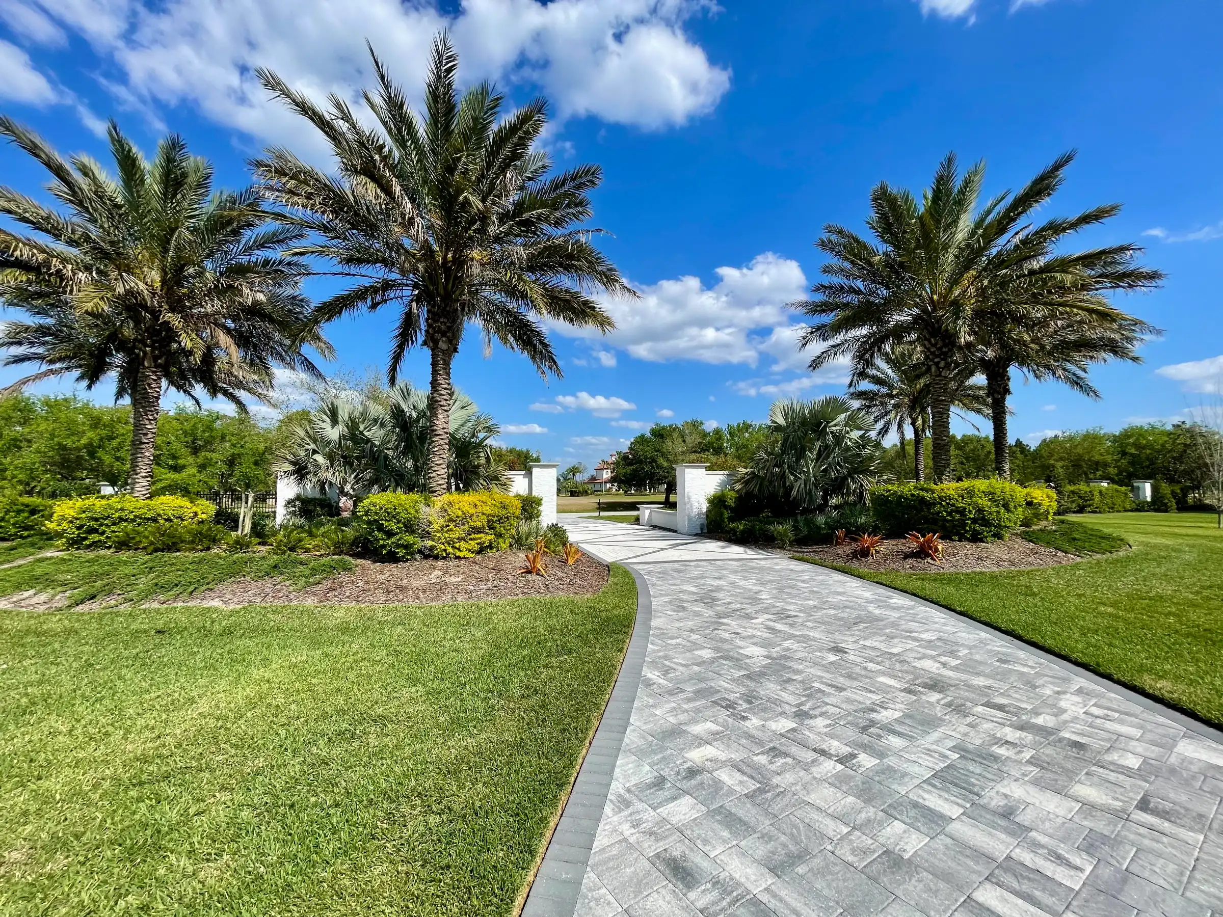 Elegant curved paver driveway flanked by tall palm trees and manicured lawns, showcasing luxury residential landscape architecture in St Petersburg, FL.