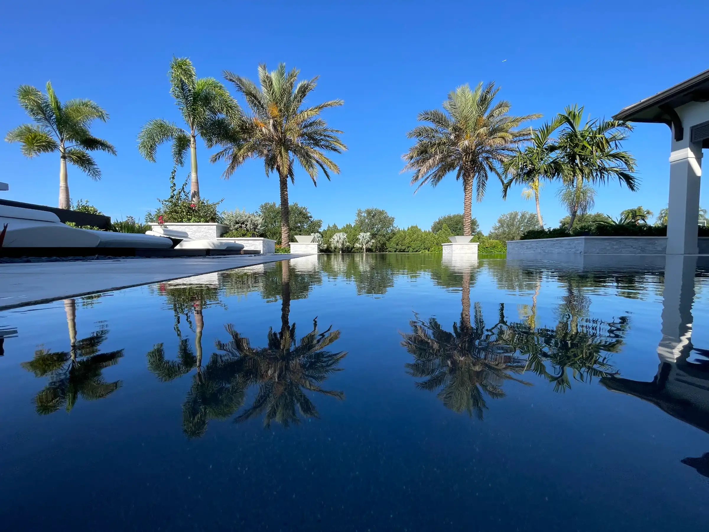 Luxury infinity pool with palm tree reflections under clear blue sky, showcasing premium pool design and landscape architecture in a St Petersburg residential community.