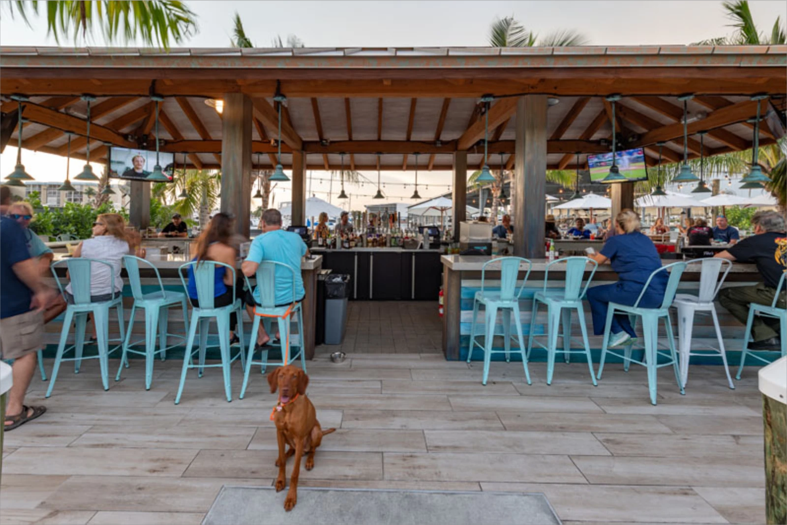 Covered patio bar with turquoise metal chairs, wooden beams, and waterfront views in St Petersburg, FL luxury outdoor construction.