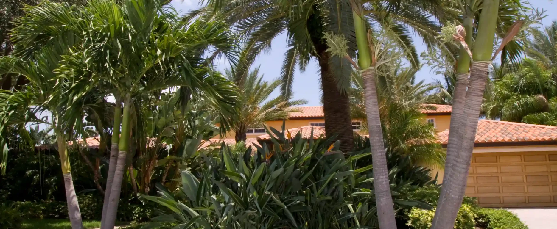 Elegant residential landscape featuring tall palm trees, natural stone pathway, and manicured lawn—premium outdoor construction design in St Petersburg, FL.