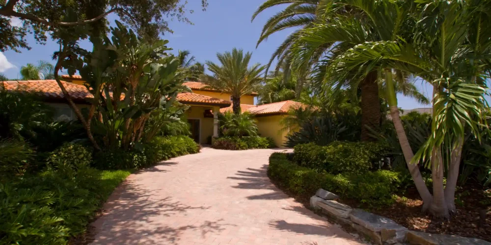 Luxury tropical driveway with yellow stucco residence, palm trees, and manicured landscaping in St Petersburg, Florida.