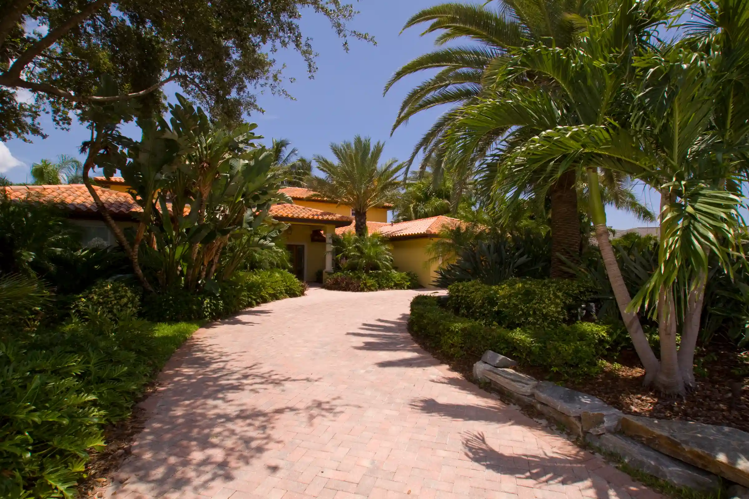 Luxury tropical driveway with yellow stucco residence, palm trees, and manicured landscaping in St Petersburg, Florida.