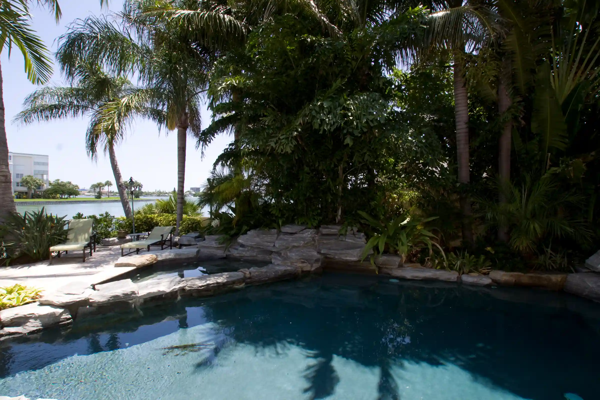 Lagoon-style pool with natural stone edges surrounded by palm trees and tropical landscaping, waterfront view in background, St Petersburg luxury pool design.